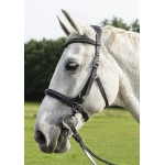 Runa Combi Sidepull Or Bitted Bridle & Reins